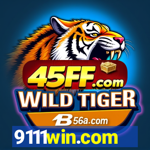 9111win.com