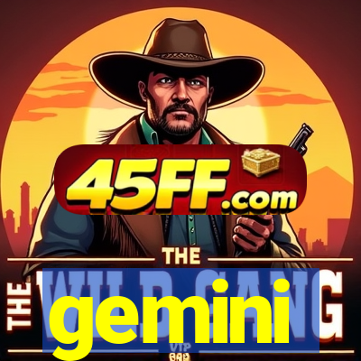 gemini-pp.com