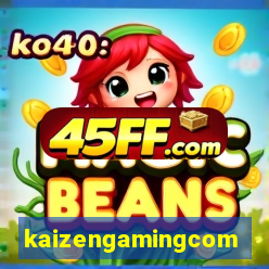 kaizengamingcom