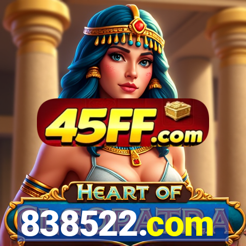 838522.com