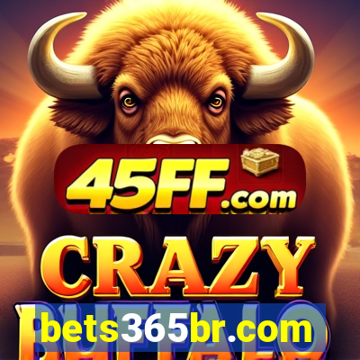 bets365br.com