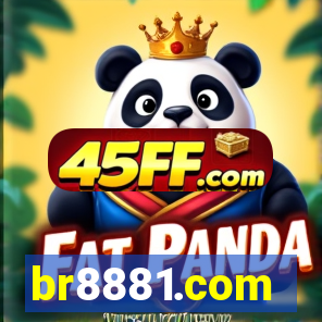 br8881.com