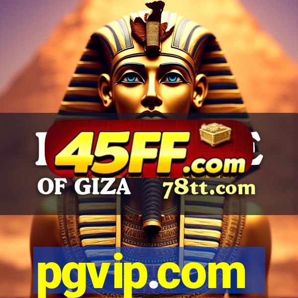 pgvip.com