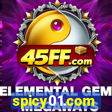 spicy01.com